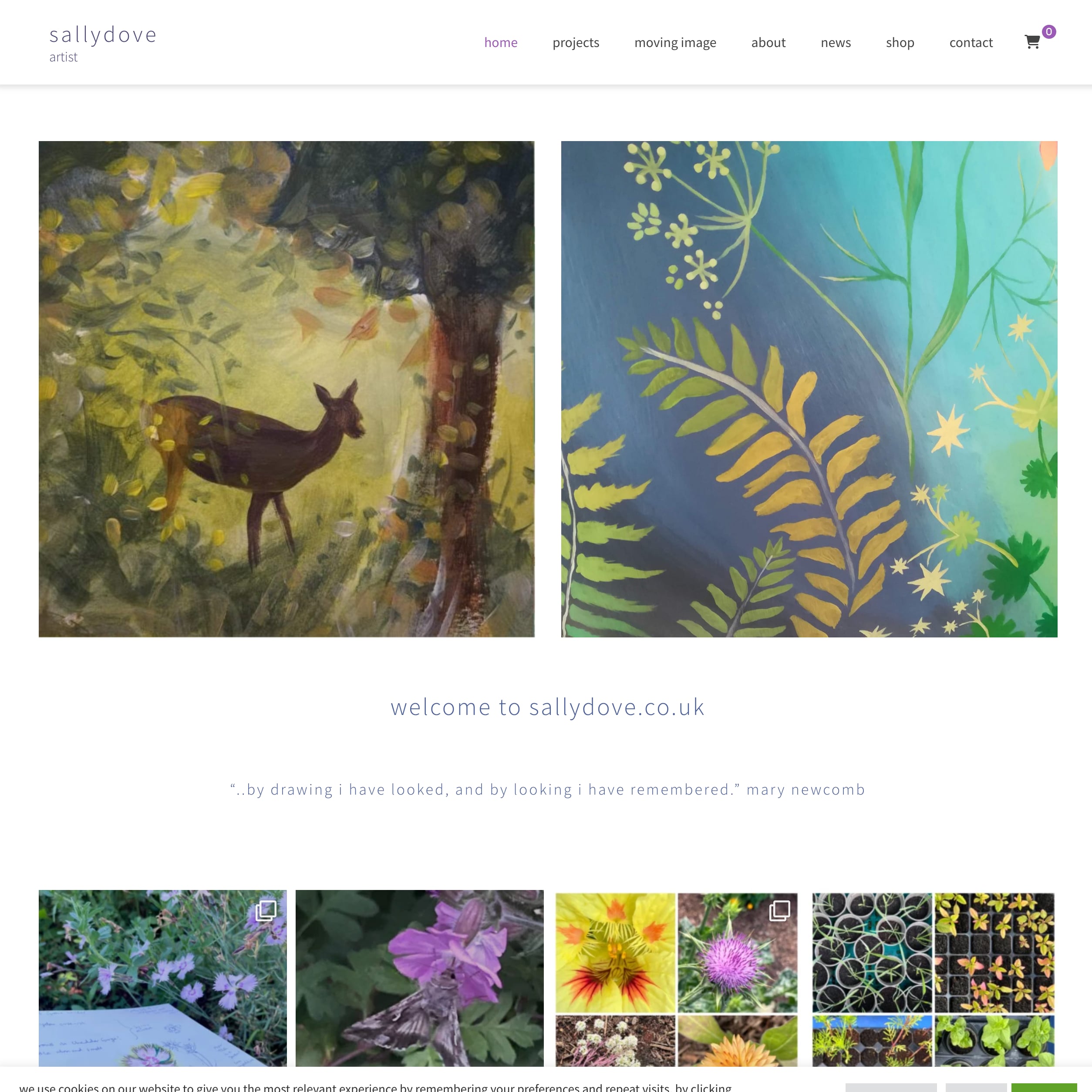 sally dove artist